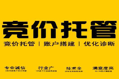 百度竞价代理的预算管理与效果评估案例